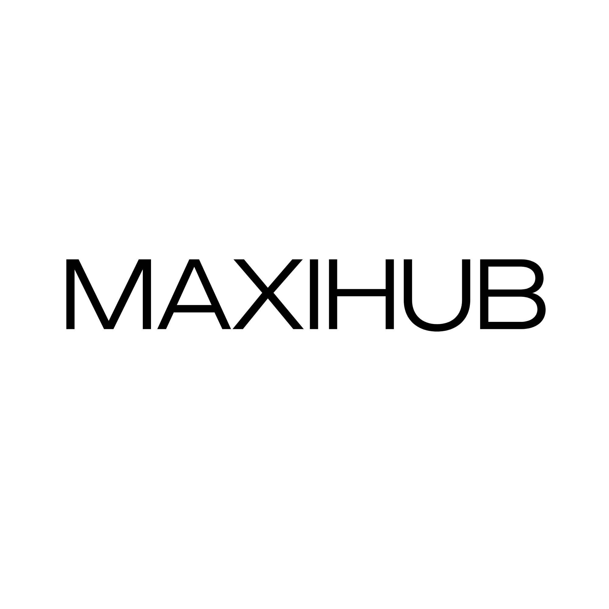 Logo MAXIHUB — Umsetzung der Demo-Webseite